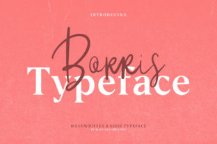 Borris: A Script Font with Personality for Creative Projects
