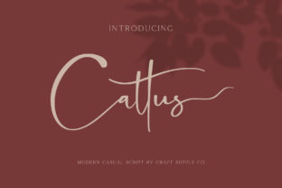 Cattus Font: A Modern Script for Stronger Campaign Messaging