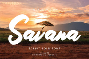 How Savana Font Transformed My Brand's Visual Identity