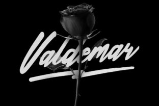 Valdemar: A Typeface That Elevates Your Editorial Design